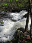 IMG 4619